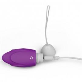 Vibrating Egg iJoy Remote Control USB Purple