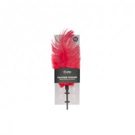 Red Feather Tickler