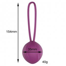 Leigh Kegel Ball Silicone Purple