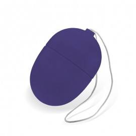 Vibrating Egg with Remote Control Mini Purple